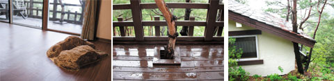 2010052801150_2(1).jpg
